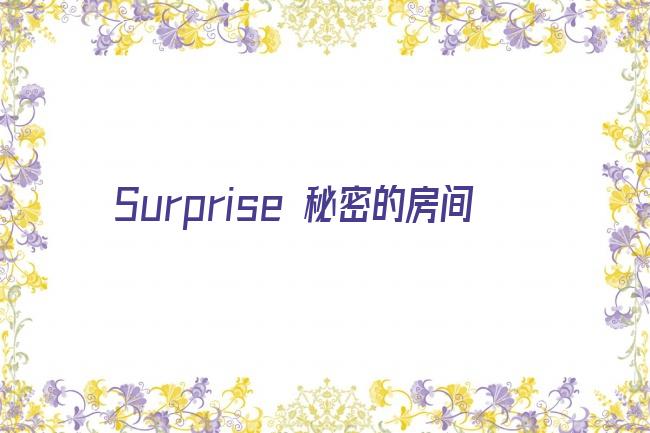 Surprise 秘密的房间剧照